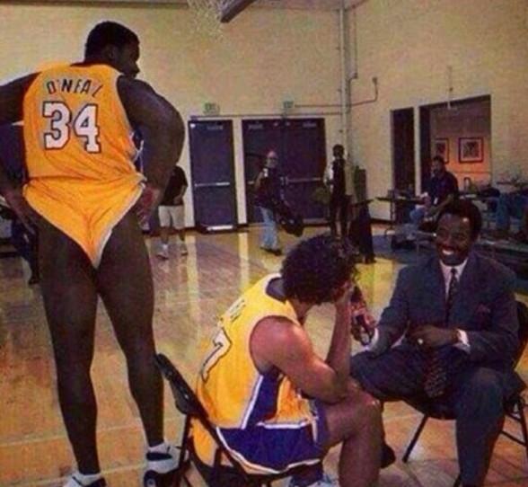 模板的样本 模板的样本