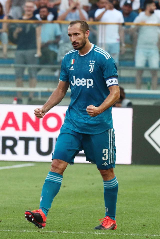 机构的正式 机构的正式